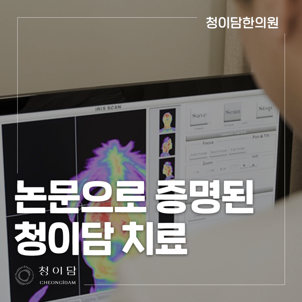 귀 이명 약